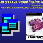 Visual Foxpro 7: Жоғары өнімділік деректер қорын әзірлеу құралы